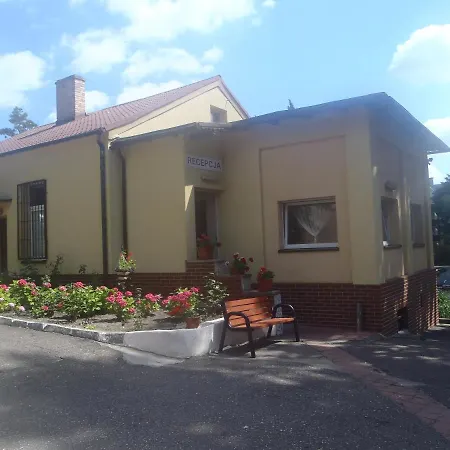 Ow Meduza I Biala Mewa