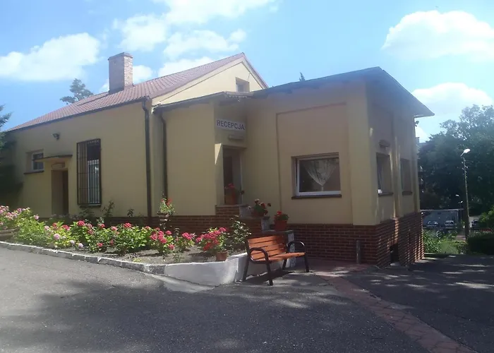 Ow Meduza I Biala Mewa